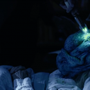 LC3297.png