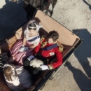 Filename=JCBR0000511~0.jpg
Filesize=241KiB
Dimensions=1920x1080
Date added=Mar 05, 2019 JCBR0000511~0.jpg