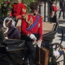Filename=JCBR0000516~0.jpg
Filesize=327KiB
Dimensions=1920x1080
Date added=Mar 05, 2019 JCBR0000516~0.jpg